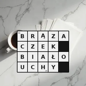 Hasło krzyżówkowe phapitreron leucotis gatunek ptaka z rodziny gołębiowatych columbidae - brązaczek białouchy – rozwiązanie, synonimy, podpowiedzi i definicje krzyżówkowe